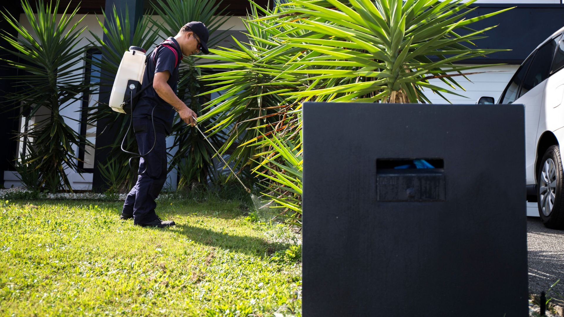 Worker spraying plants with backpack sprayer near green palm trees