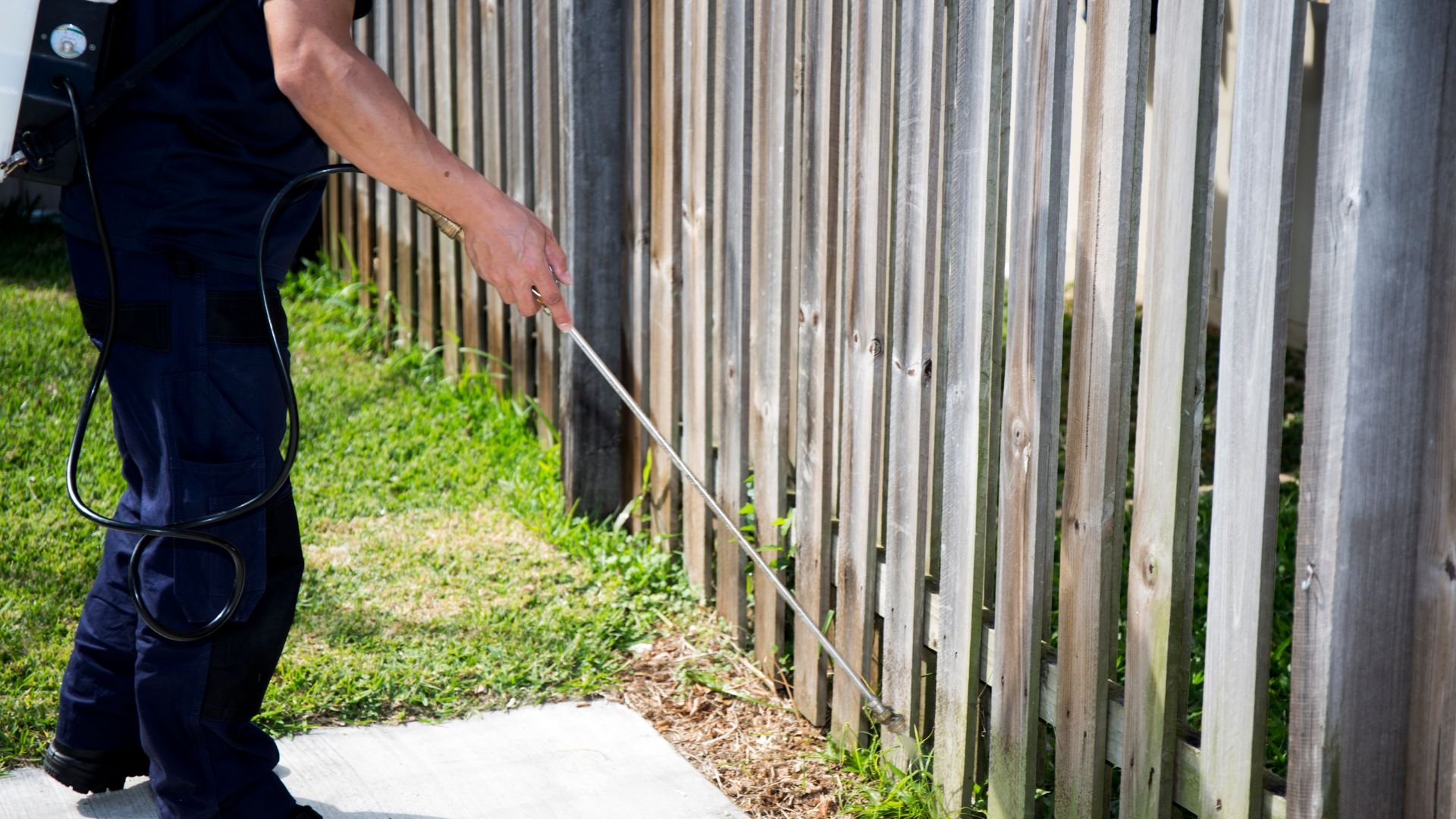 Person spraying along wooden fence with garden hose or sprayer