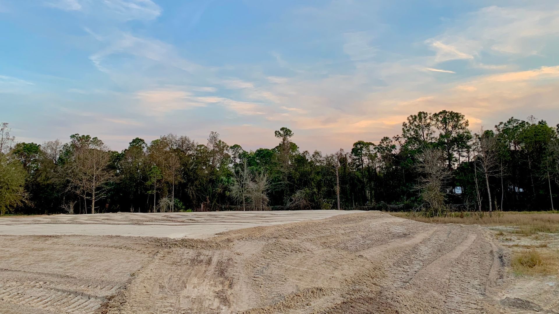 Bare dirt lot with pine trees at sunset, undeveloped land with tracks