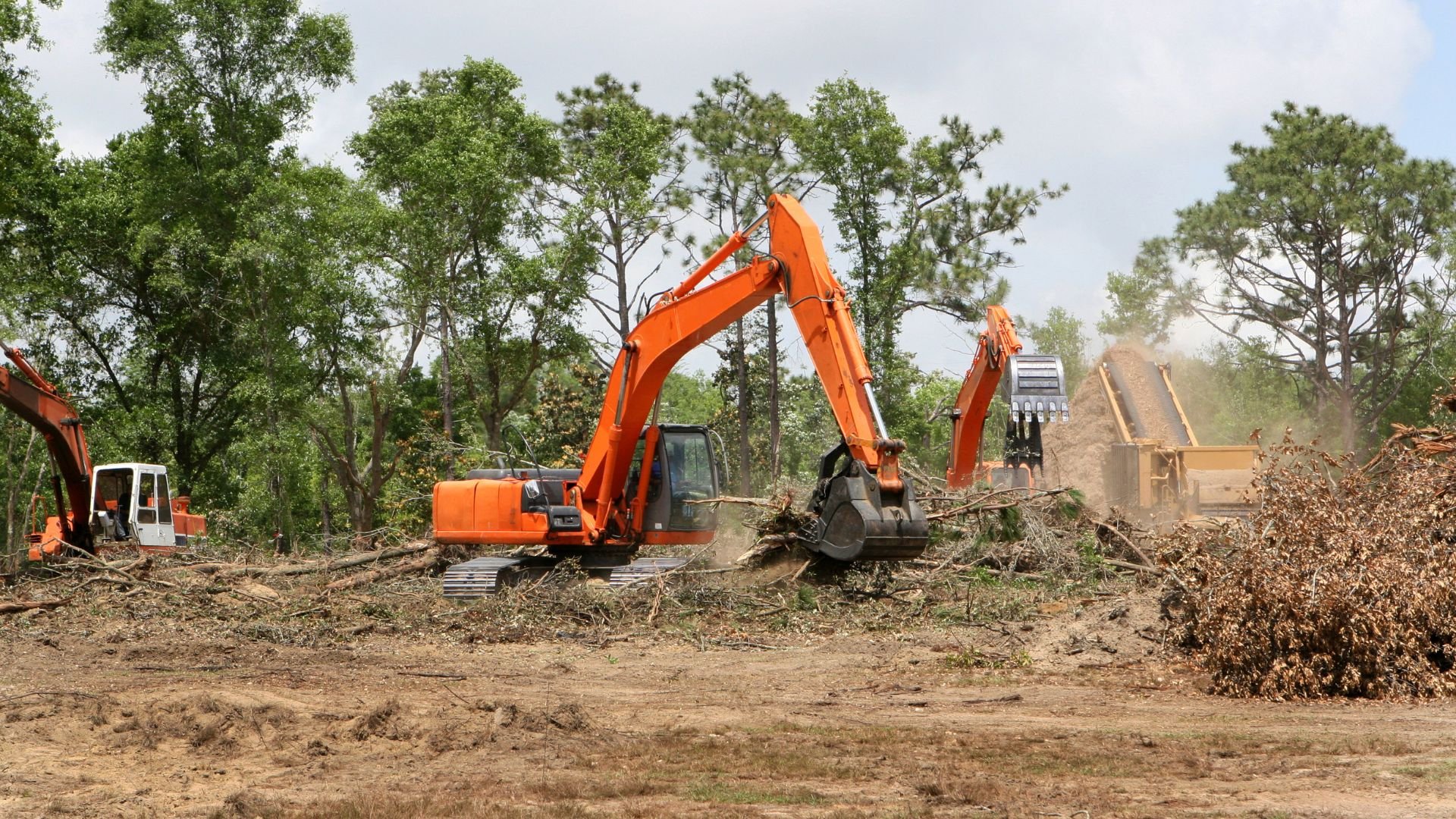 Orange excavators clearing land and removing trees in forested area