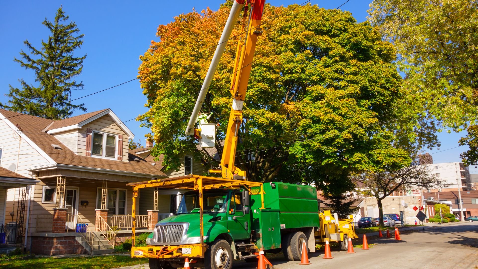 Green utility truck with crane trimming trees on residential street