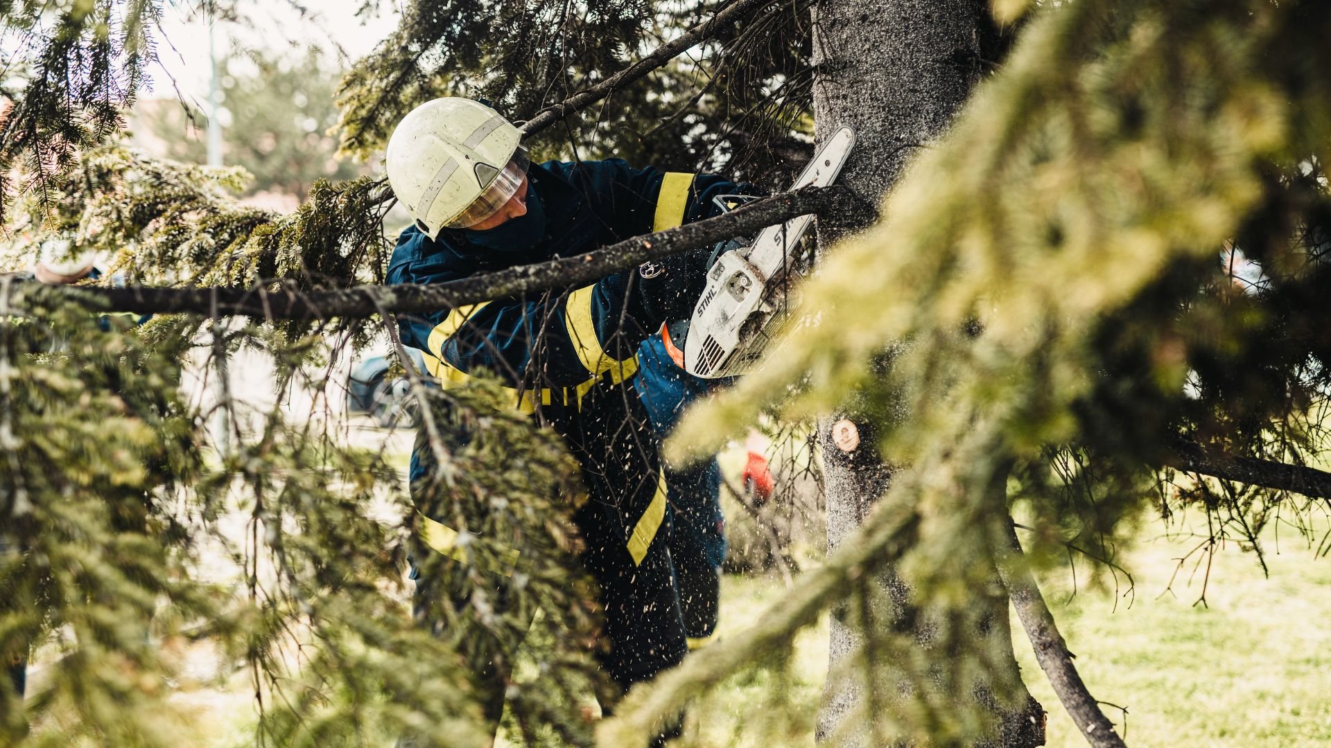 Arborist in safety gear cutting tree branches with chainsaw