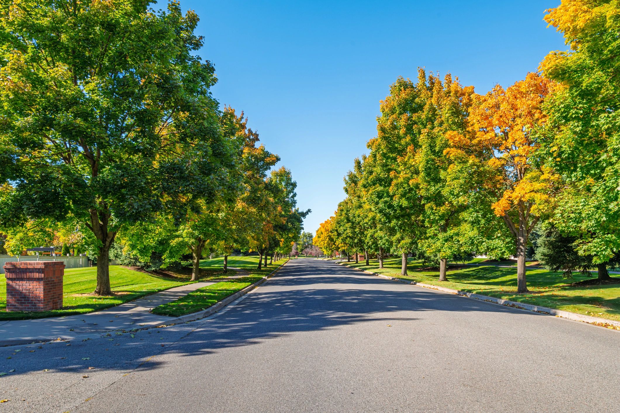 Tree-lined residential area similar to neighborhoods served in Allen