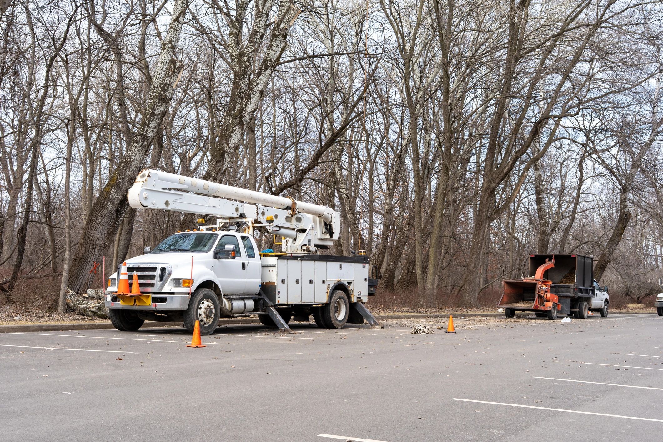 Bucket truck and wood chipper set up for tree service work