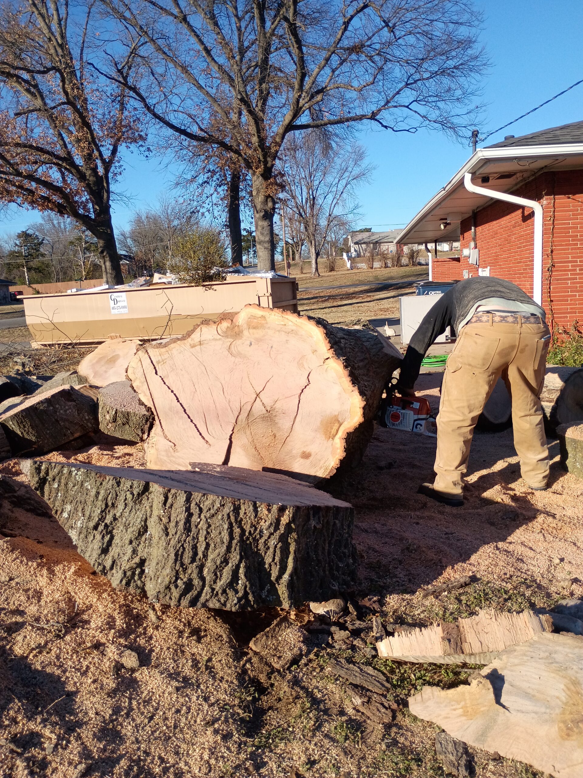 Large tree trunk sections at a job site